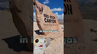 Red Rock Canyon National Conservation Area in Las Vegas!