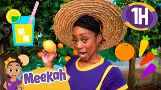 Can Farmer Meekah Count the Healthy Foods? | Educational Videos for Kids | Blippi and Meekah Kids TV