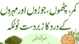 Live Life Quran