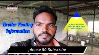 Broiler Poultry Business plan।। poultrymkph।। please 50K Subscribe 🙏🙏🙏🙏