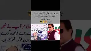 PTI lover Imran Khan fan