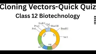 Cloning Vectors Quick Quiz | Class 12 Biotechnology | Visual Quiz with Answers