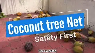 Stay safe and secure! 🌴 Install durable coconut tree nets with Menorah Coconets for protection