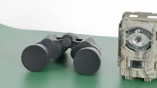 Top 5 Equipment for Bird Watching