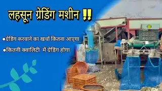 Garlic grading machine || लहसुन ग्रेडिंग मशीन ॥ #garlic #garlicfarming  #agriculture #farming 