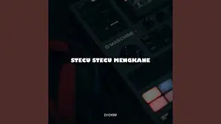 Stecu Stecu Mengkane