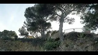Port du Niel - Presqu'&icirc;le-de-Giens