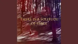 There is a solitude of space