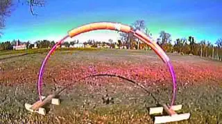 Dog park pratice with Shen Drone Orca