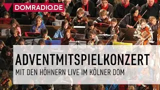 DIE HÖHNER IM KÖLNER DOM - Adventmitspielkonzert 2022 im Kölner Dom (04.12.22)