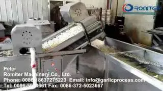 Full Automatic Peeled Garlic Clove Production Line