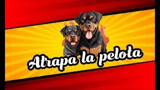 🎾(Atrapa la pelota 
