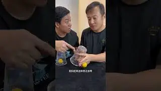 Learn more magic new tricks