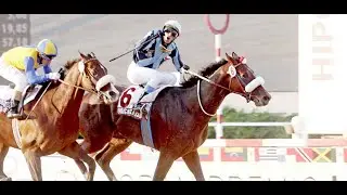 Remate de caballos F.S. en Training