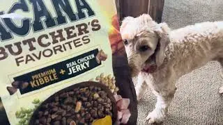 Honest Review of ACANA Butcher&rsquo;s Favorites Grain-Free Free-Run Poultry Dog Food