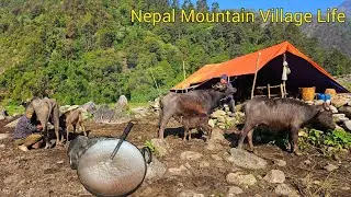 Nepal Mountain Village Life | Primitive Way to Make Rice Pudding in Nepali Shepherd Style 🏔️🍚