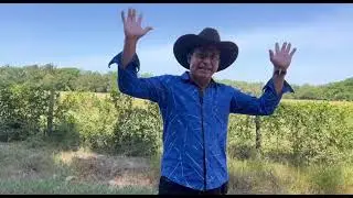 Golpe Viejo Relancino - Baudilio Carreño (Video Oficial)
