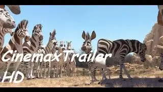 Cesur Zebra - Trailer | HD