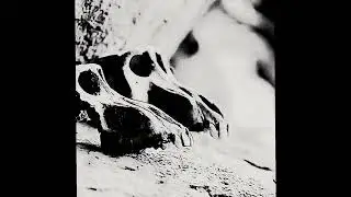 [FREE] Chill Storytelling type beat | 