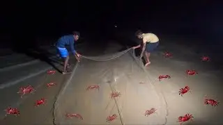 Red Crabs🦀 Catching at Night Time 😰| I'm Catching the Fast Moving Crabs| Adventures Of Venu