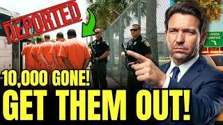 Florida Just Went NUCLEAR On Illegal Migrants (10,000 GONE)!!!!