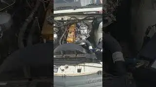 VK 3.3/202 Recoed with 350 Holley