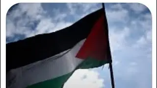 France to recognise Palestine @SadiaBokhari