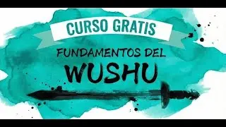2 NanQuan  南拳 Segunda  Parte.