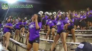 Darlington High School Marching Falcons - Undecided 2019