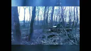 1 SKIDDER 3 TREES ...