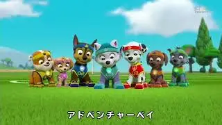 Paw Patrol Opening (Japanese dub)