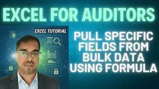 Pick columns from bulk data using Excel formulas | Excel for auditing & auditors