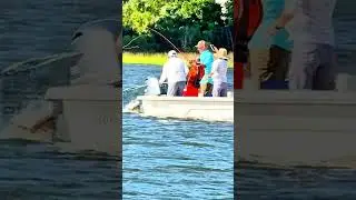 Bull Red Fish Джексонвилл, Флорида