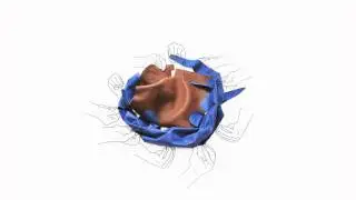 ELS Leather animation