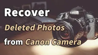 How to Recover Deleted Videos/Photos from Canon Camera SD Card Canon Powershot/80D