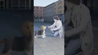 dog interview :)