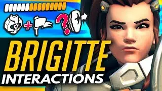Overwatch | BRIGITTE  - ALL ABILITY INTERACTIONS MYTHBUSTED vs OTHER HEROES