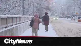 From the streets: Toronto blanketed in wet snow, ice amid blast of winter