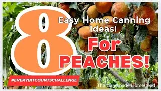 8 EASY Home Canning Ideas to Preserve Peaches!  | Every Bit Counts Challenge