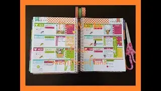 Plan With Me - 3/19/18 Feat. SweetBeanPlans