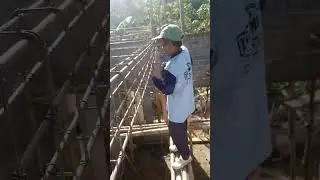 penganyaman ring balok bentang 7meter