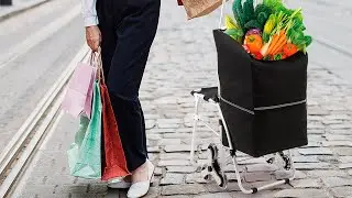 Trolly Cart For Stairs Stepper Dolly Foldable With Seat