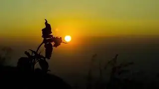9 HOURS Best Relaxing Music | Classical Guitar | Background, Relax, Sleep, Study, Meditation