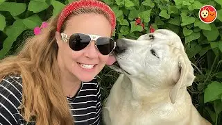 Все отвергали его за «уродство» — пока одна женщина не увидела его настоящую красоту.