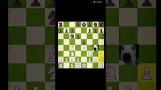 Checkmate in 8 moves Legal defense #chess #checkmate #white #subscribe #like #share #meme #shorts