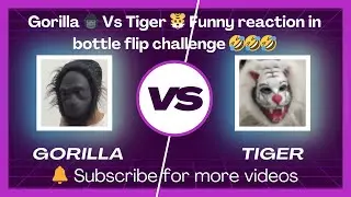Gorilla 🦍 Vs Tiger 🐯 Funny reaction in bottle flip challenge #viral video | chup chaaap comedy