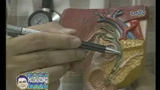 Dr. Philip Tan - Gallstones