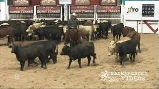 Kit Kat Sugar - Reserve Champion - 2012 NCHA Super Stakes