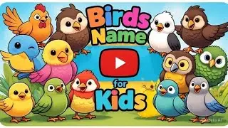 Let's learn birds name with hip hop tv