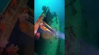 Underwater Drone Reveals Mysterious Coral Shipwreck #ShipwreckDiscovery